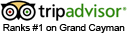 Ranked first in popularity among all Grand Cayman hotels.